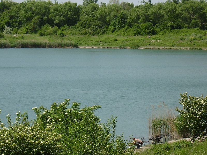 Breitenleer-Teich