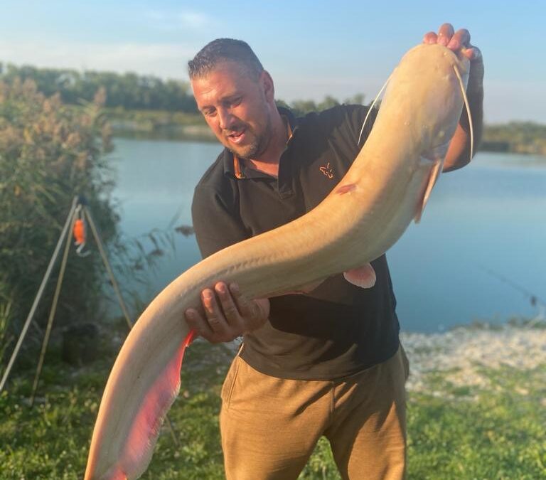 Fotos und Fänge zu Breitenleer-Teich